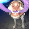 Owen McDonald - @owen.mcdonald4 - TikTok