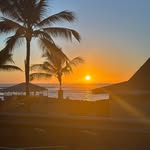 Owen McDonald - @owenmcdonald70 - Instagram