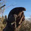 OwenMcDonald12 - @owenmcdonald12 - TikTok