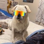 Owen McIntosh - @owen_m1918 - Instagram