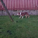 Owen McLaughlin - Facebook
