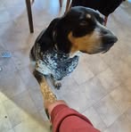 Owen Mcleod - Facebook
