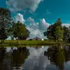 owen meadows - @owenmeadowsweddings - TikTok