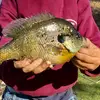 owenmeadows - @fishermen_for_you777 - TikTok