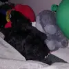 Owen Mitchell - @owen.mitchell93 - TikTok