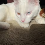 Owen Mort - @mo_2xx6 - Instagram