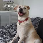Owen Mullen - @owan1971 - Instagram