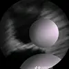 Brutalowen - @owennicholson - TikTok