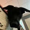 Owen Norris - @owen.norris66 - TikTok