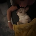 Owen Olsen - @owen_olsen - Instagram