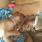 Owen Osborn - @owen.osborn.359 - Instagram