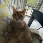 Owen Pacheco - Facebook