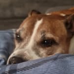 Owen Payne - @owen.payne1452 - Instagram