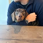 Owen Payne - @owenpayne999 - Instagram