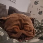 Owen Payne - Facebook