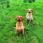 Owen Payne - @owen_payne00 - Instagram