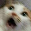 Owen _playz13 - @owen_pelkey13 - TikTok