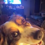 Owen Pratt - Facebook