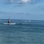 Owen Pratt - @owen.pratt.773 - Instagram