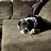 Owen Reed - @owen.reed78 - TikTok