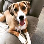 Owen Franklin Reese - @adventures_of_owen_ - Instagram