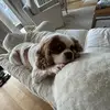 owen.reese - @owen.reese14 - TikTok