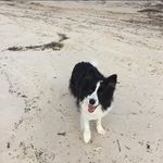 Owen Richards - @owenrichards72 - Instagram