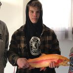 Owen Roth - Facebook
