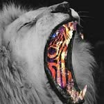 owen schenkl - @owenschenk - Instagram