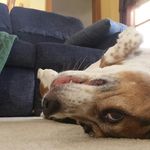Owen Schuster - @owen_schuster - Instagram