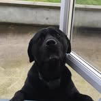 Owen Scully - Facebook