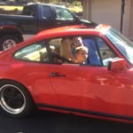 Owen Sheehan - @owen_sheehan2 - Instagram