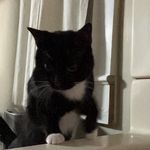 Owen Slater - @sl8ers - Instagram