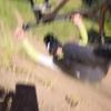 Owen Slater - @owen.slater1 - TikTok