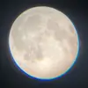 owen 🦉 - @owen.small7 - TikTok