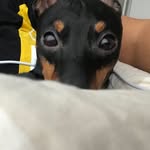 Owen Of Tall and Small - @owen_ett - Instagram
