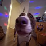 Owen Small - @osmiumiscool - Instagram