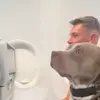 ElowenSutton - @user3176902133281 - TikTok
