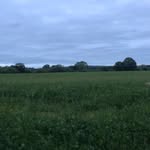 Owen Sutton - @owenjs21 - Instagram