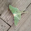 Owen Thomas - @owen.thomas2021 - TikTok