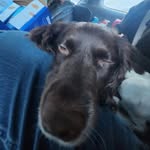 Owen Thornton - @thornton_owen - Instagram