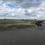 Owen - @_____owen_____thorpetso - Instagram