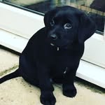 Owen Thorpe - @foxyot0905 - Instagram