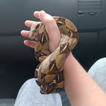 Owen Todd - @owentodd112 - Instagram