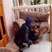 Owen Walker - Facebook