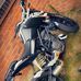 Owen Walker - Facebook