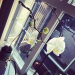 Owen - @owen_____waters.zwj - Instagram