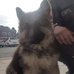 Owen Waters - @owen.waters.73 - Instagram