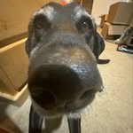 owen wellman - @owen.wellman - Instagram
