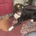 Owen Wheeler - Facebook
